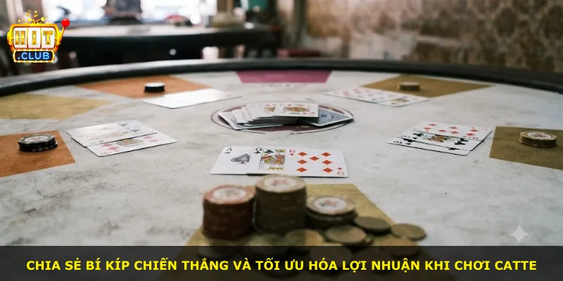 Chia sẻ bí kíp chiến thắng và tối ưu hóa lợi nhuận khi chơi Catte