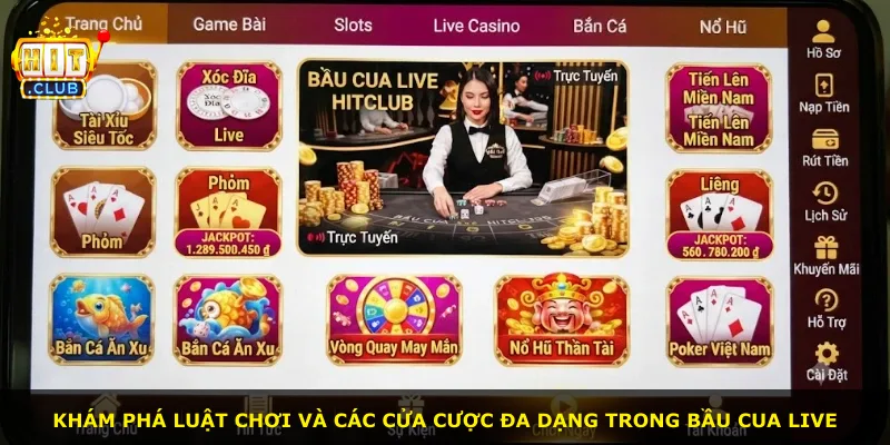 Khám phá luật chơi và các cửa cược đa dạng trong Bầu Cua Live