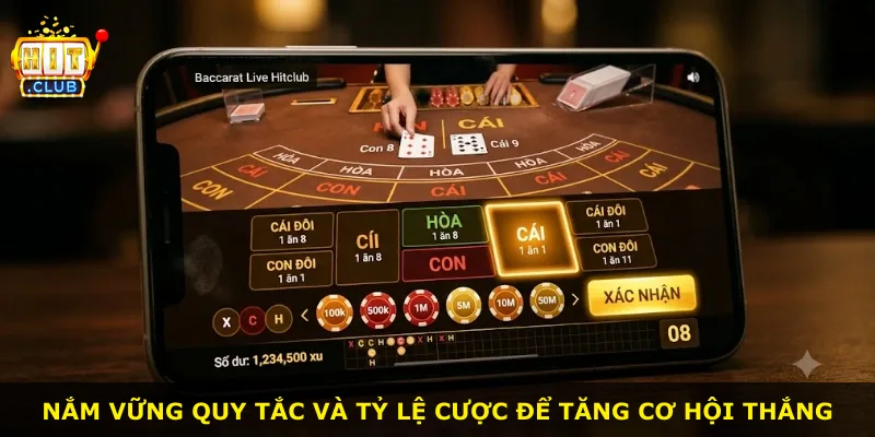 Nắm vững quy tắc và tỷ lệ cược để tăng cơ hội thắng