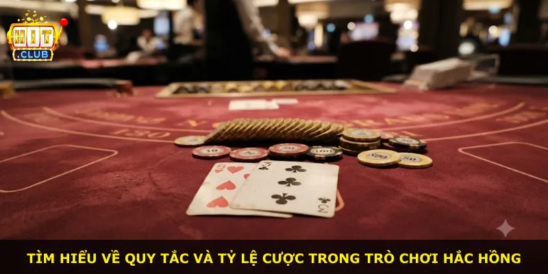 Tìm hiểu về quy tắc và tỷ lệ cược trong trò chơi Hắc Hồng