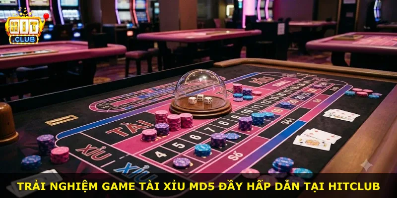 Trải nghiệm game Tài Xỉu MD5 đầy hấp dẫn tại Hitclub