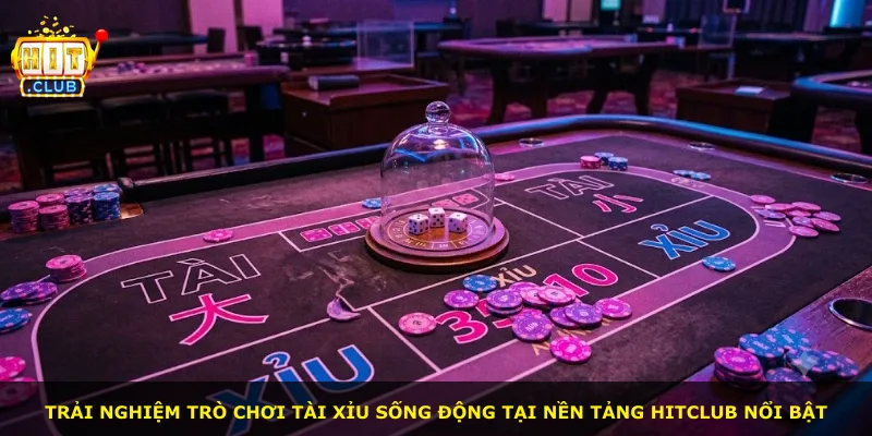 Trải nghiệm trò chơi Tài Xỉu sống động tại nền tảng Hitclub nổi bật